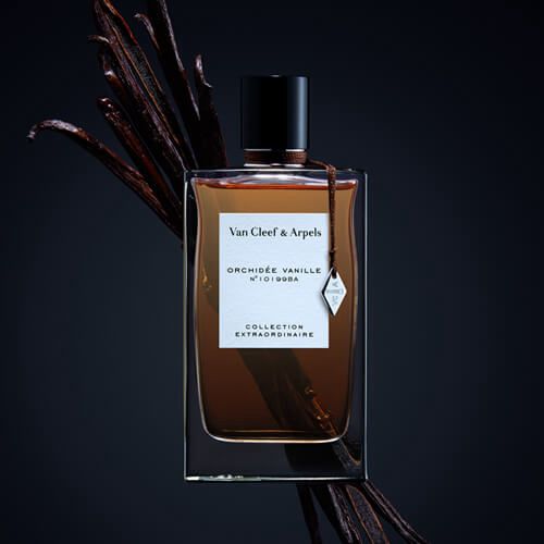 Van Cleef & Arpels Orchidée Vanille Eau De Parfum 75 ml