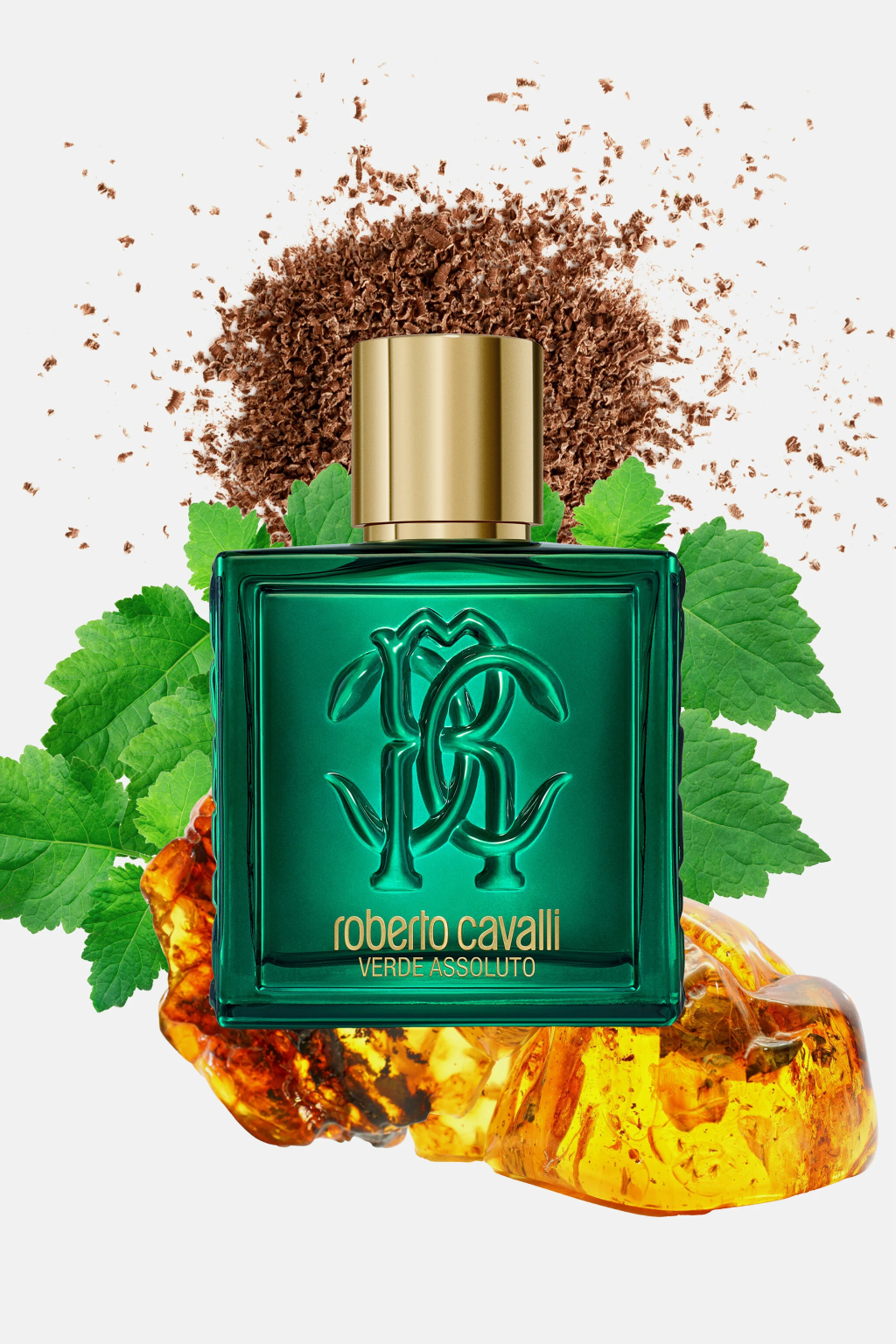 Roberto Cavalli Uomo Verde Assoluto Eau de Parfum 100 ml NOVITA'