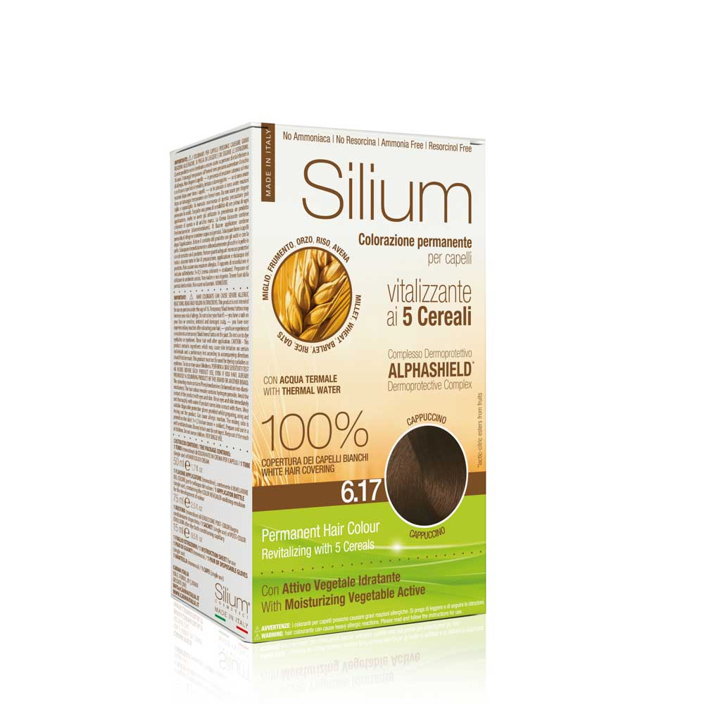N 6.17 CAPPUCCINO COLORAZIONE PERMANENTE PER CAPELLI IN CREMA (Copia)